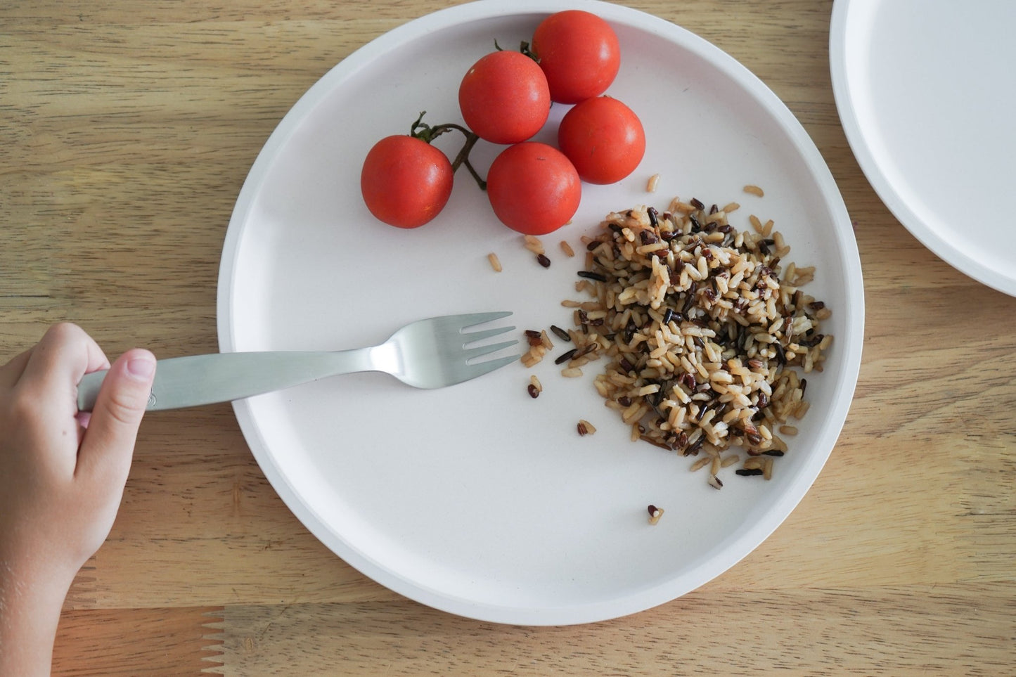 Dinner Plate (24cm) Duo- Natural