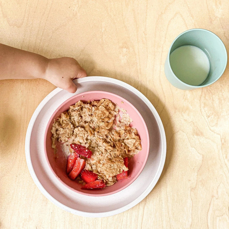 daycare dinnerware