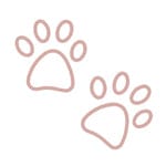 feature-item-2